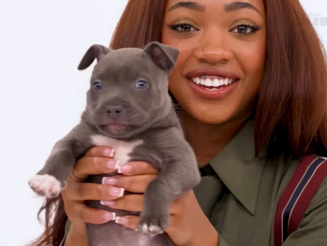 mya 🌿 tweet media