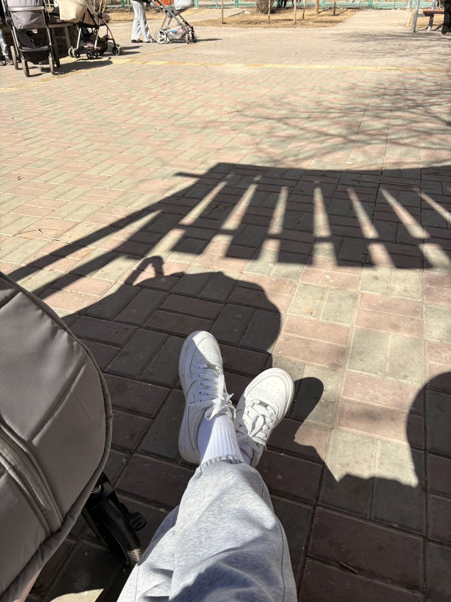 Шувуухай tweet media