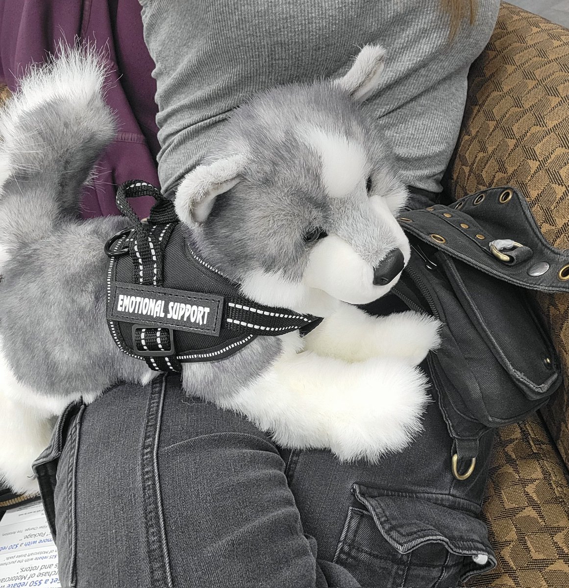 💕Vixitty💕 tweet media