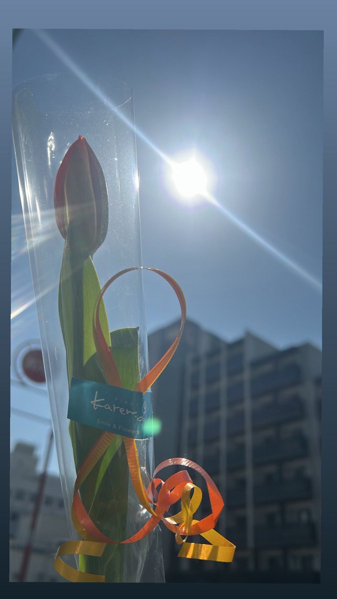 ちぇる・とまと tweet media