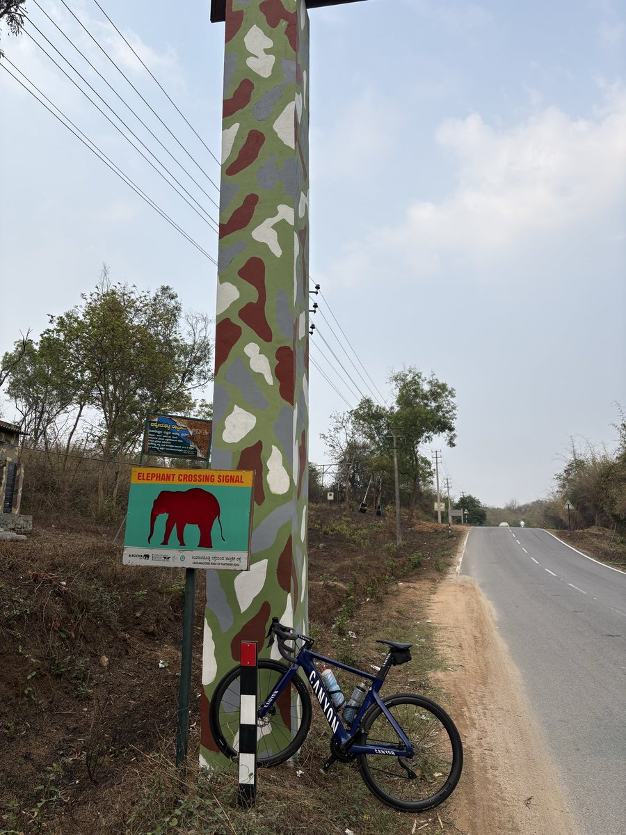 Rishabh Jain tweet media