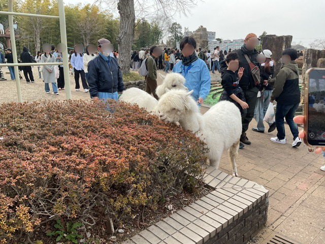 市川市動植物園(公式) tweet media
