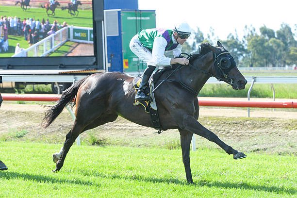 Reece Goodwin tweet media