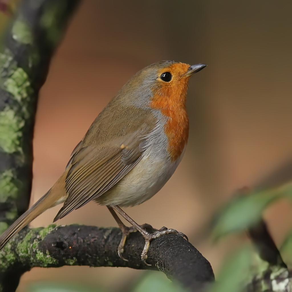 Ed Foster💚 tweet media