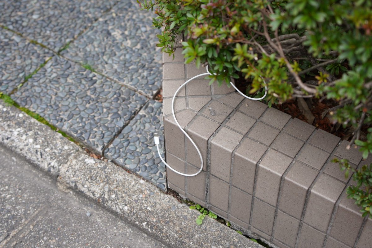 かえざくら tweet media