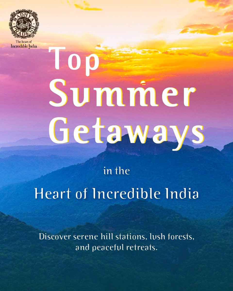 MP International Tourism tweet media