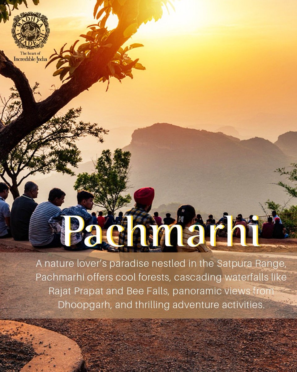 MP International Tourism tweet media