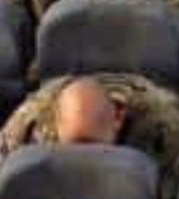 Sledneck tweet media