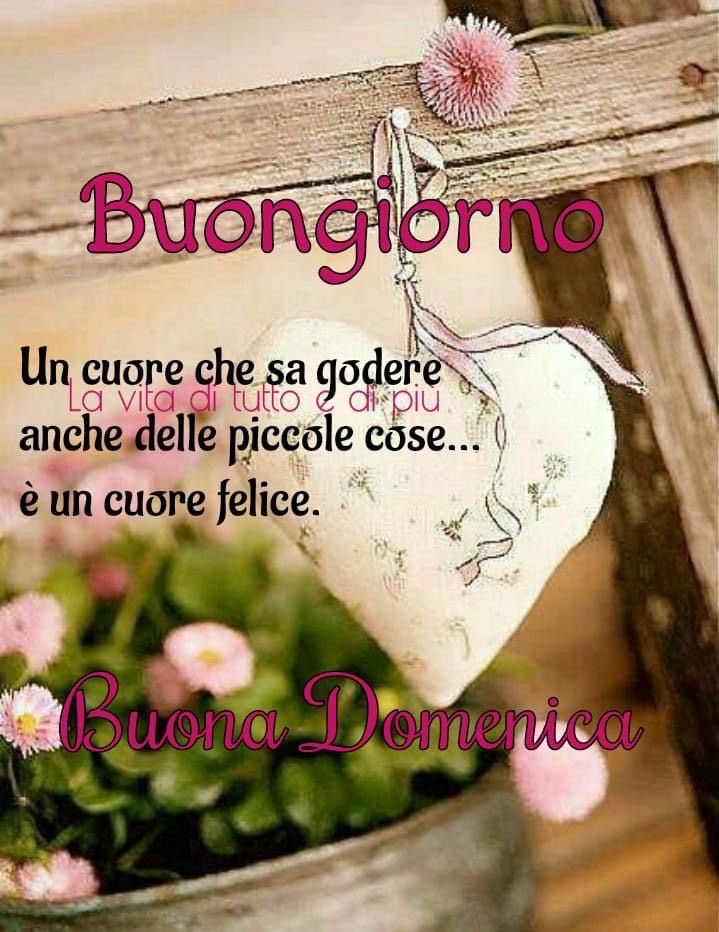 suttora marina tweet media