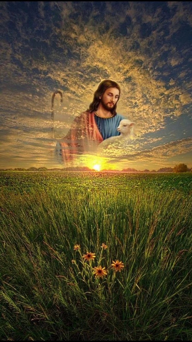 ام میلینا tweet media