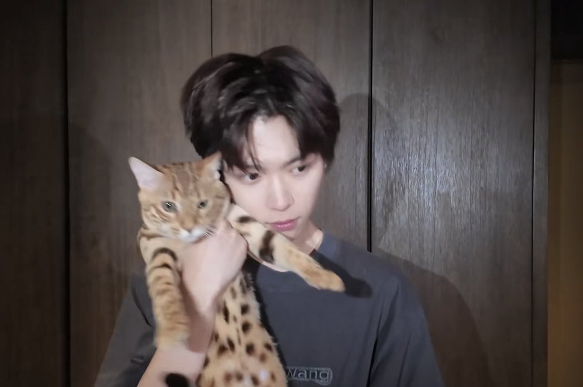 Daily Ziyu 🔮 tweet media