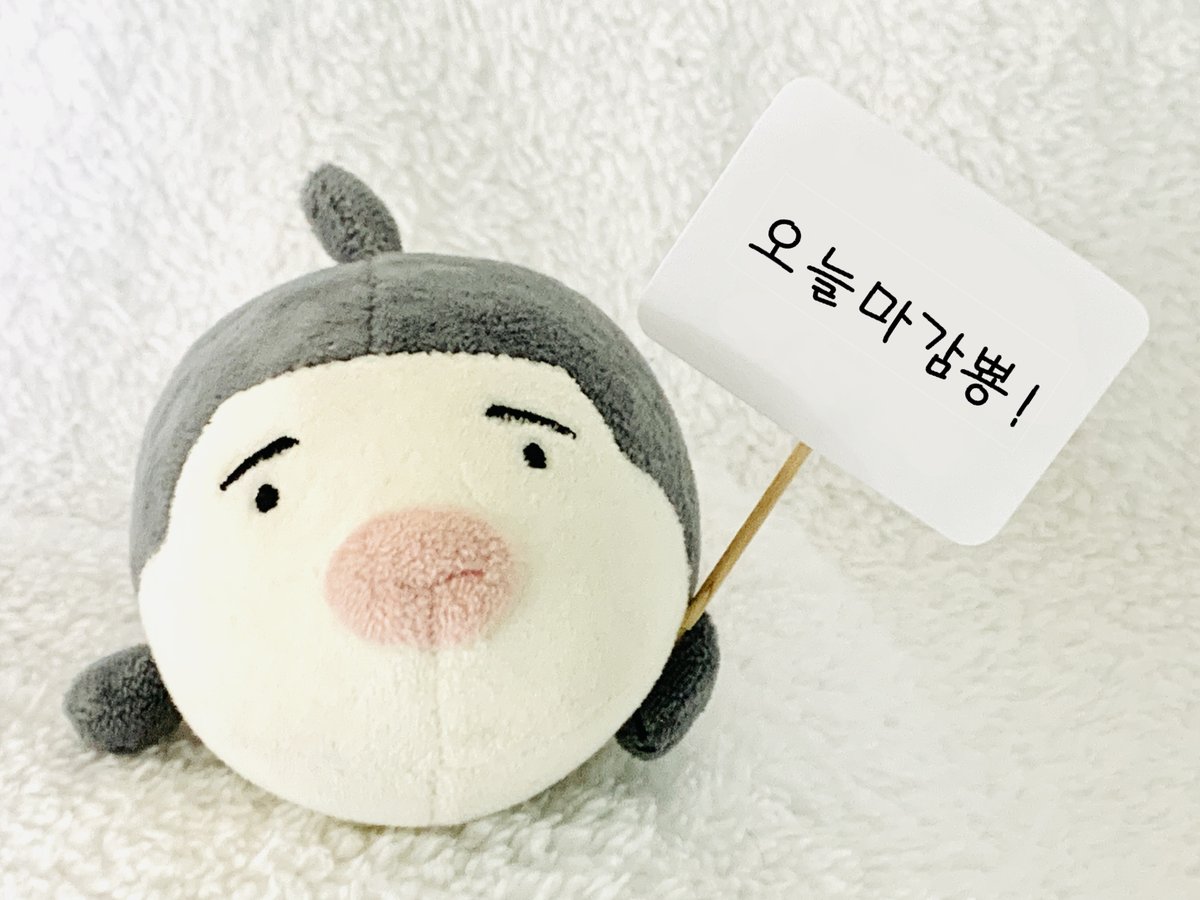 뿅어는취업중 tweet media