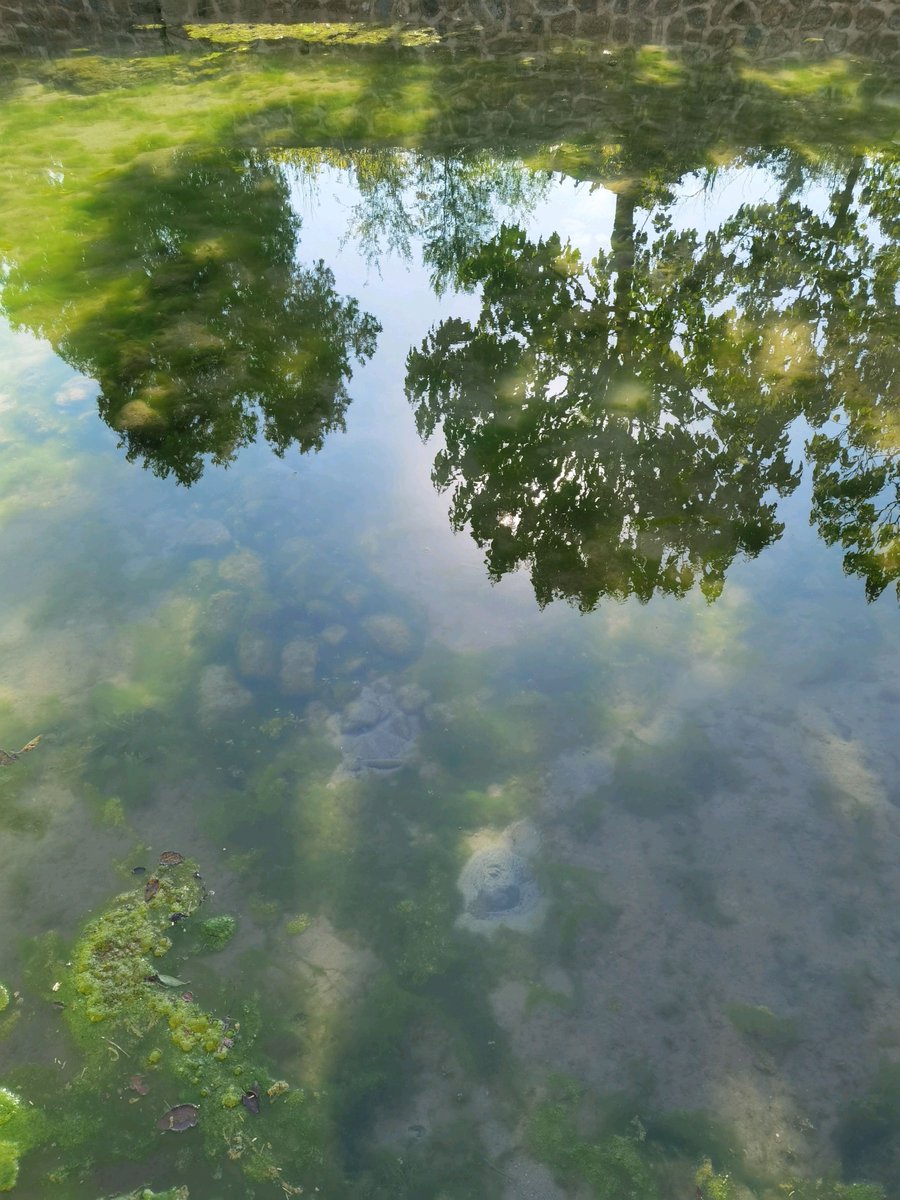 Chad Johnson tweet media