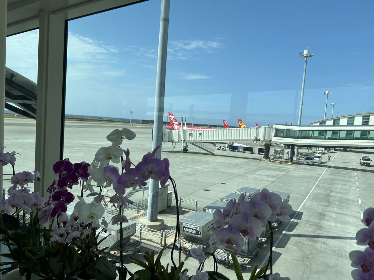 ダイジョウ🎮💪 tweet media