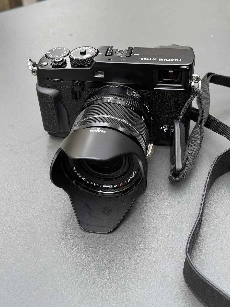 ラッコ tweet media