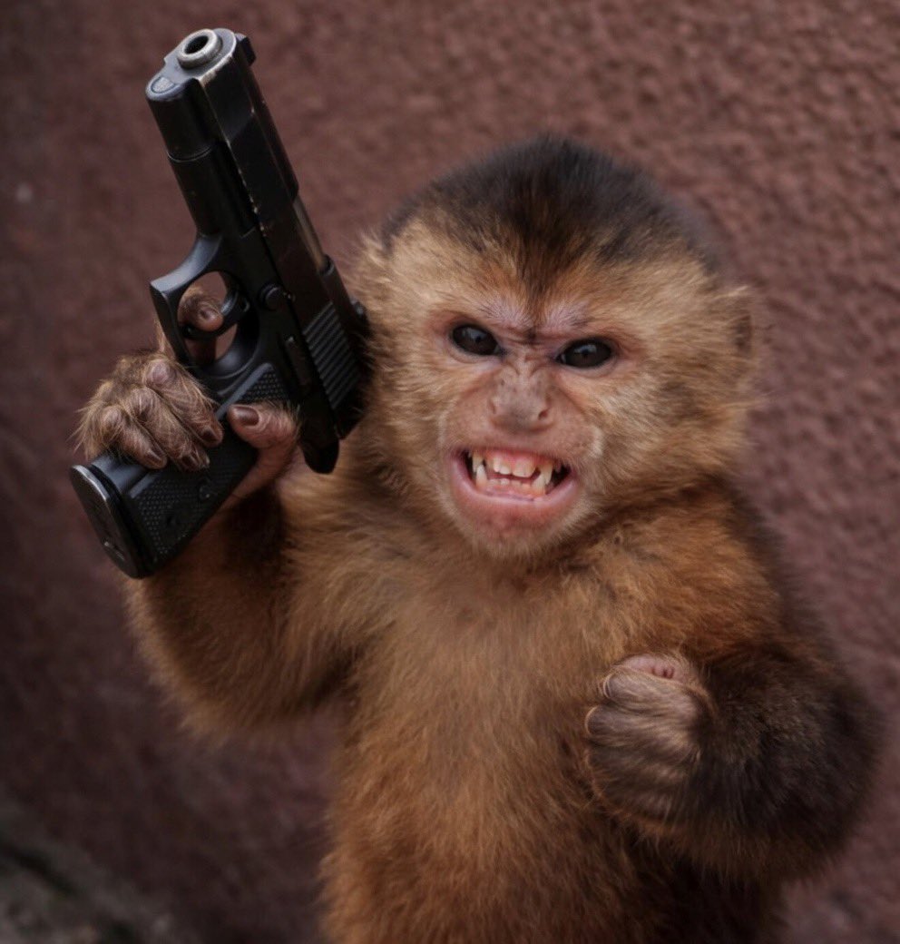 Juan Charly Bodoque 🇨🇴 tweet media