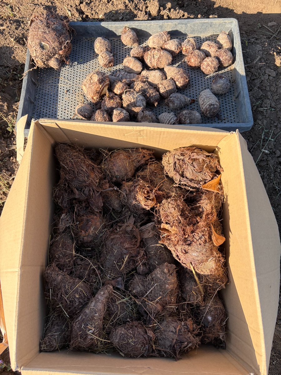 氣付きのカケラ tweet media