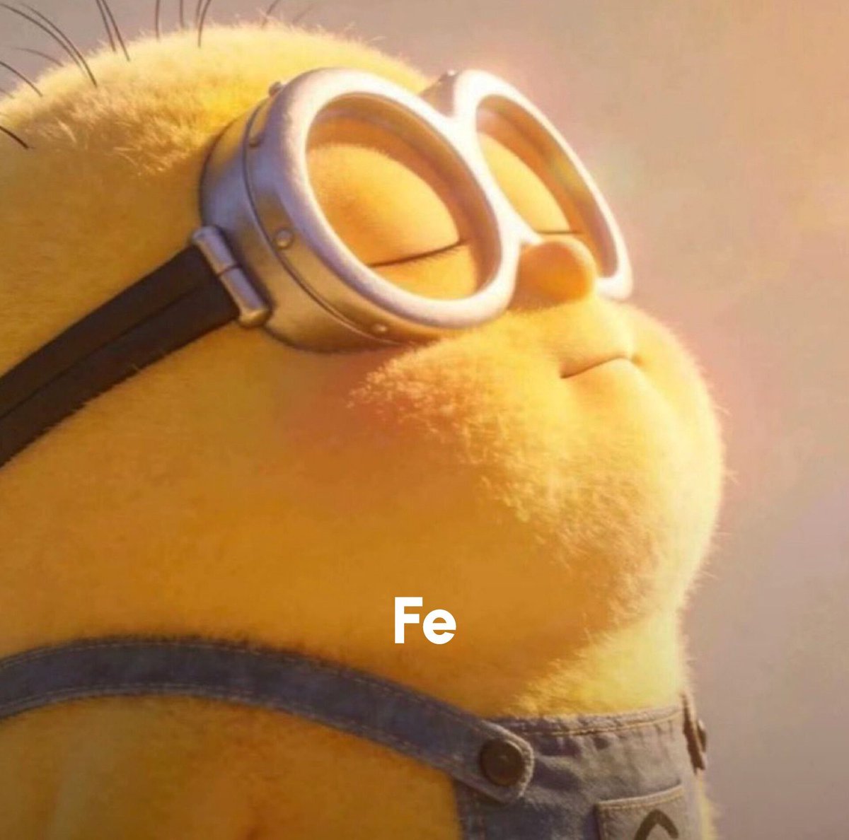 BANDIDOS tweet media