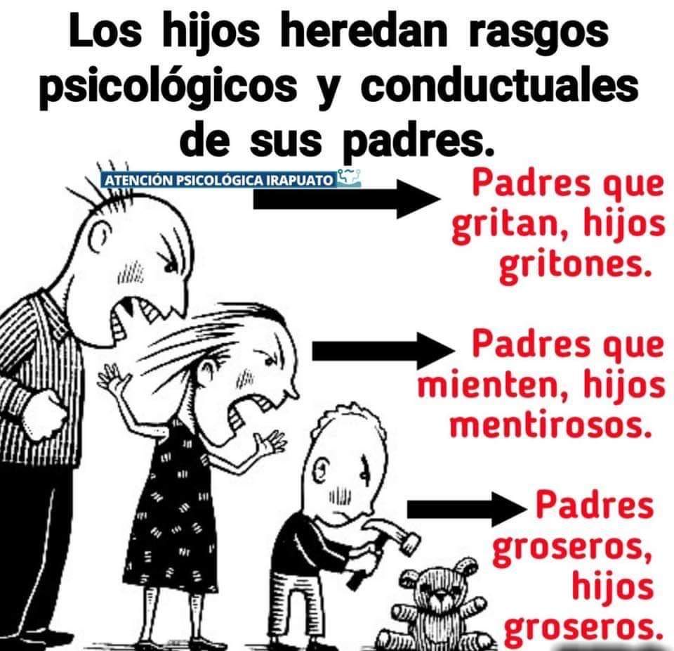 Elba Lazo tweet media