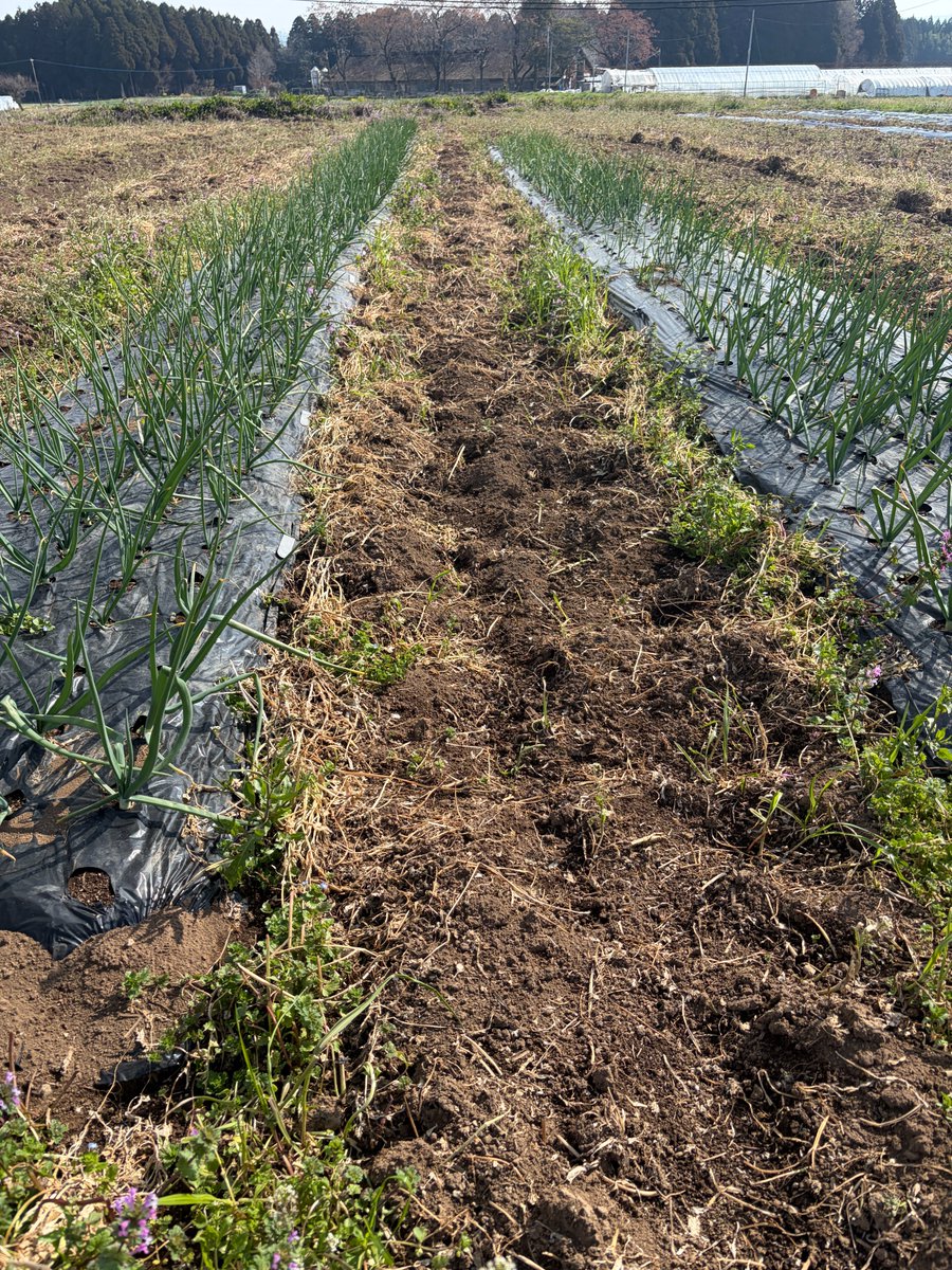 氣付きのカケラ tweet media