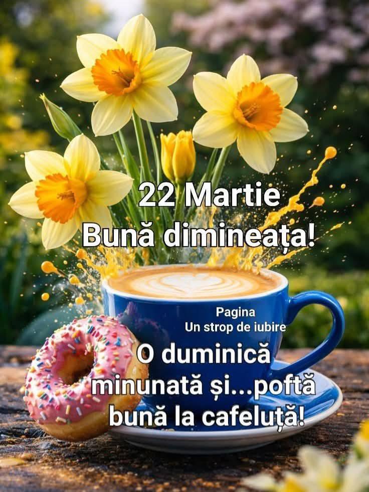 Mariana Munteanu tweet media