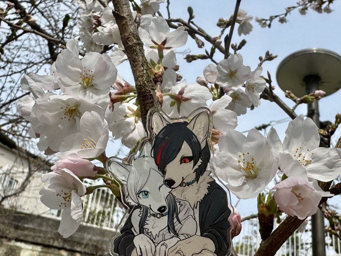 そーと🍀 tweet media