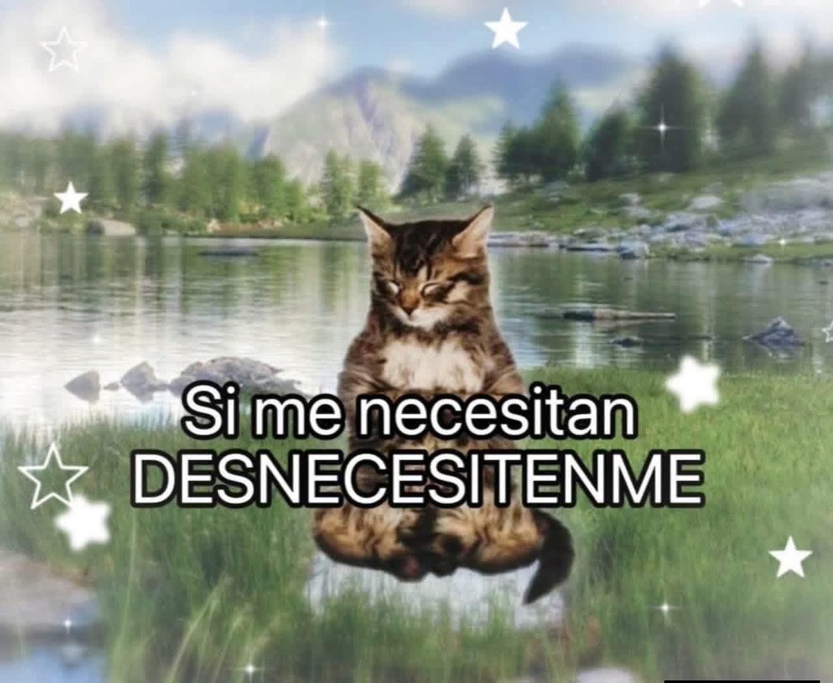 Dilo con gatitoz tweet media