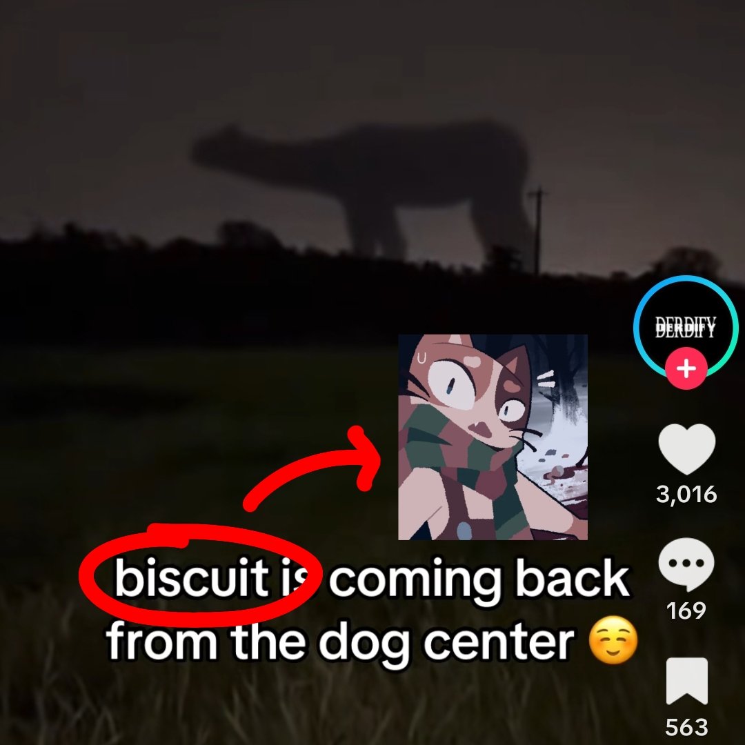 IS THAT AN FPE REFERENCE?????? tweet media