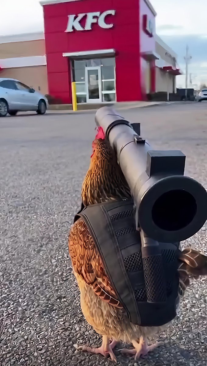 ユヴァ tweet media