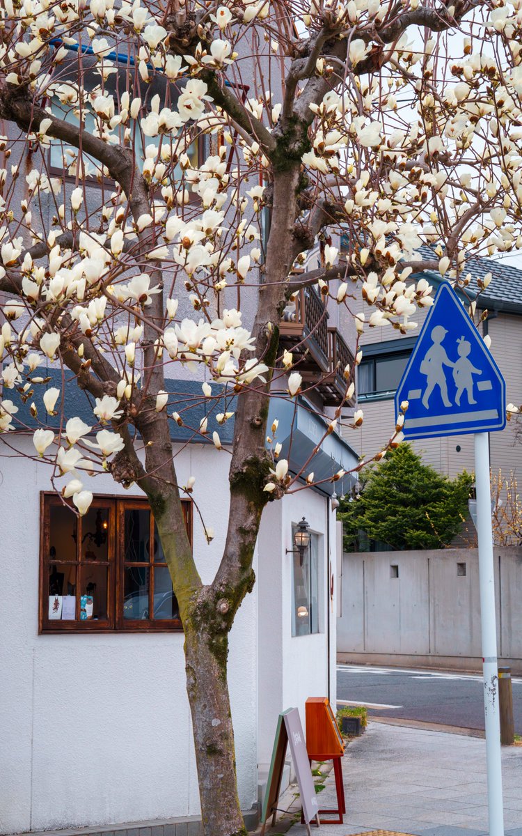 マクロ tweet media