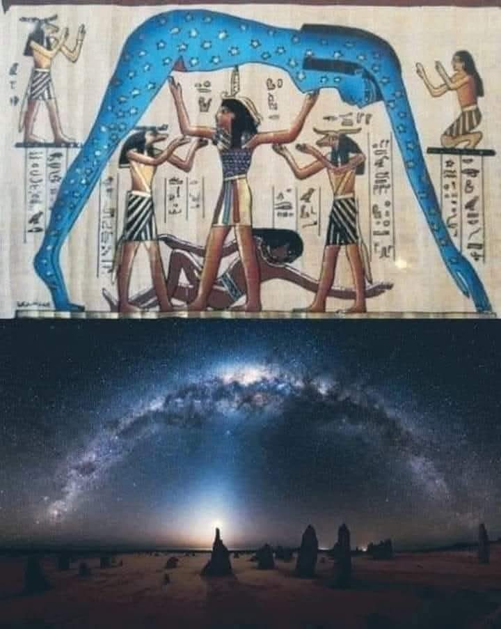 🧬Maxpein🧬 tweet media