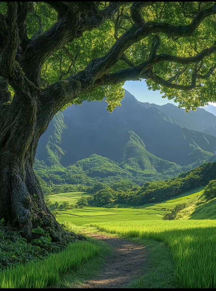 𝑎𝑒𝑠𝑡ℎ𝑒𝑡𝑖𝑐 𝑎𝑟𝑡 tweet media