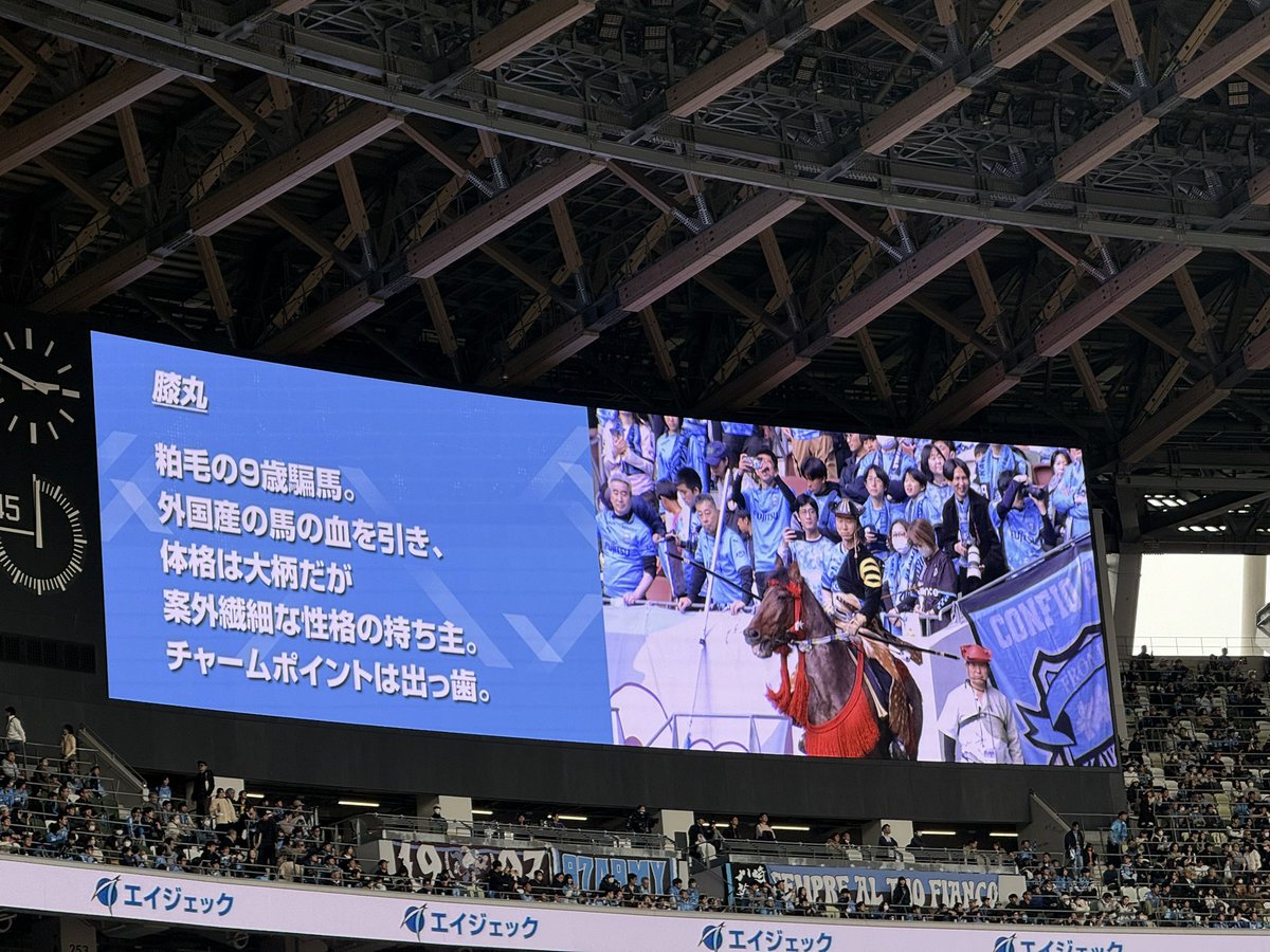 ぐちこ tweet media