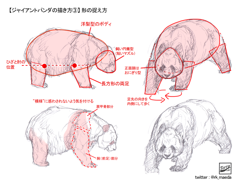 前田陸(Riku Maeda) tweet media