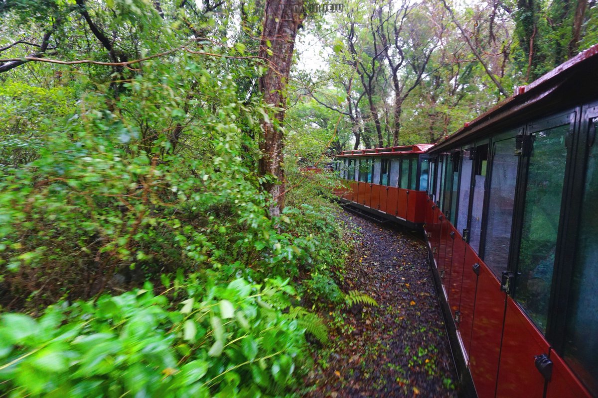 Debbe M. tweet media