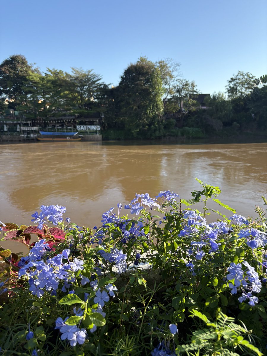 I wonder how ? tweet media