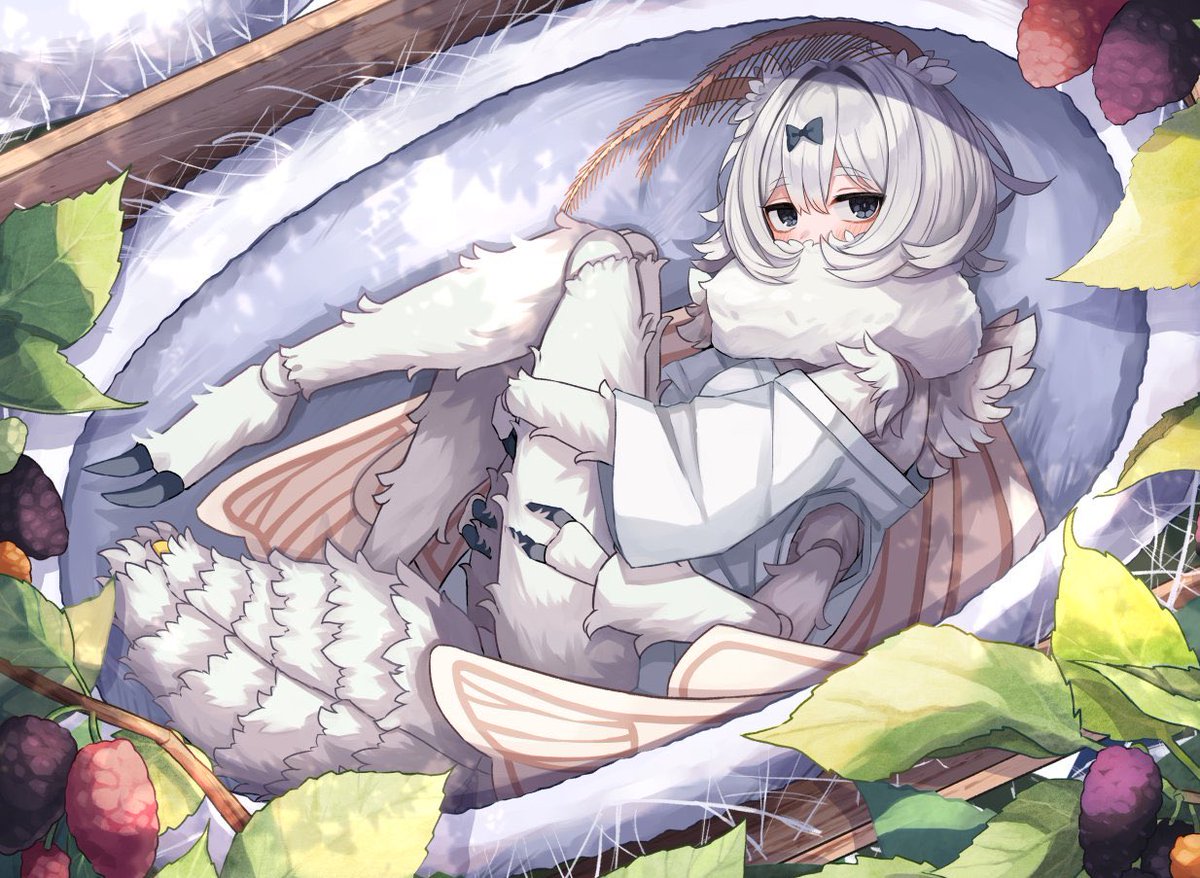 熊野プラン🐻個展3/24~3/31 tweet media