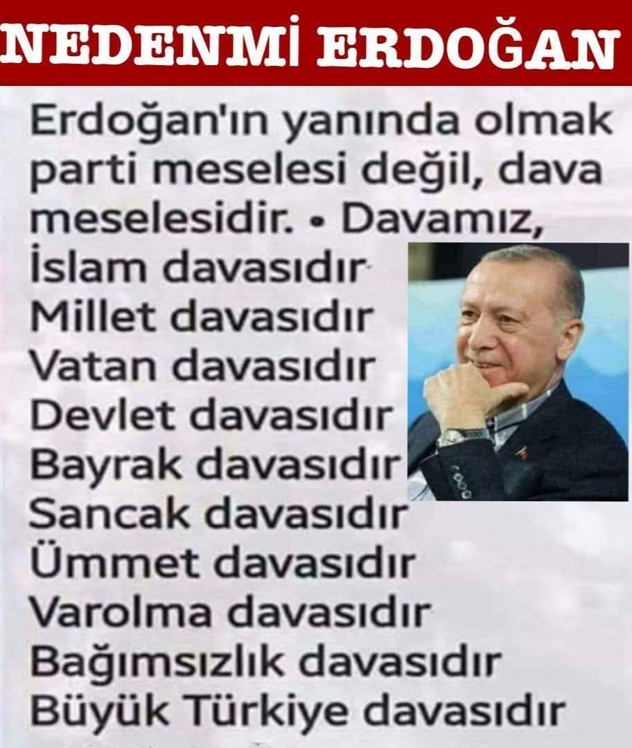 Selin Yılmaz tweet media