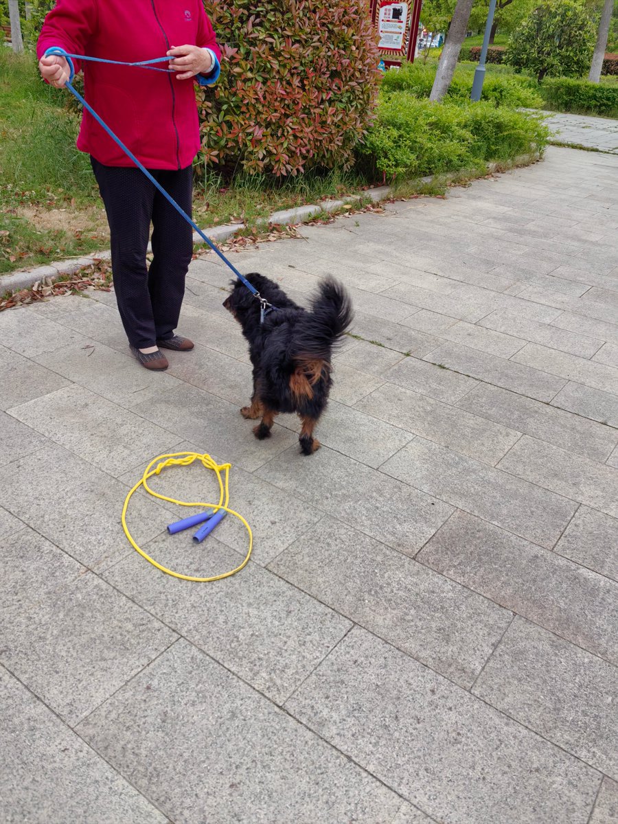 George Nicholson tweet media