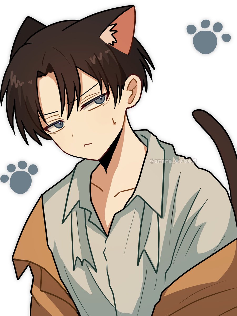 あらら tweet media