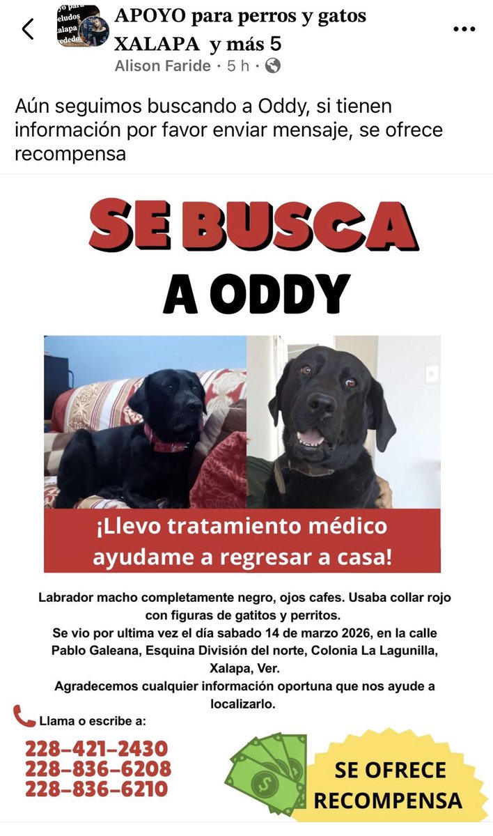 ANGIE COLUNGA tweet media