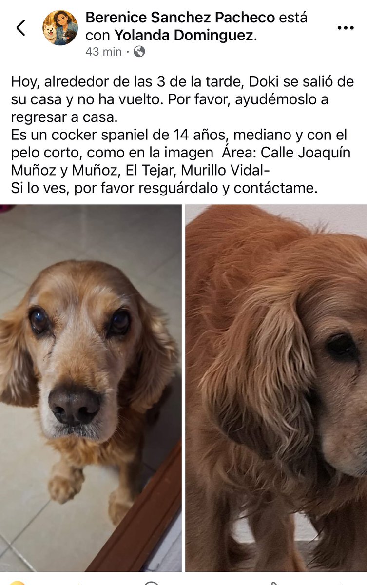 ANGIE COLUNGA tweet media