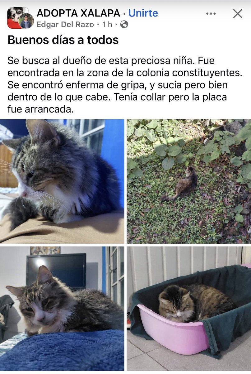 ANGIE COLUNGA tweet media