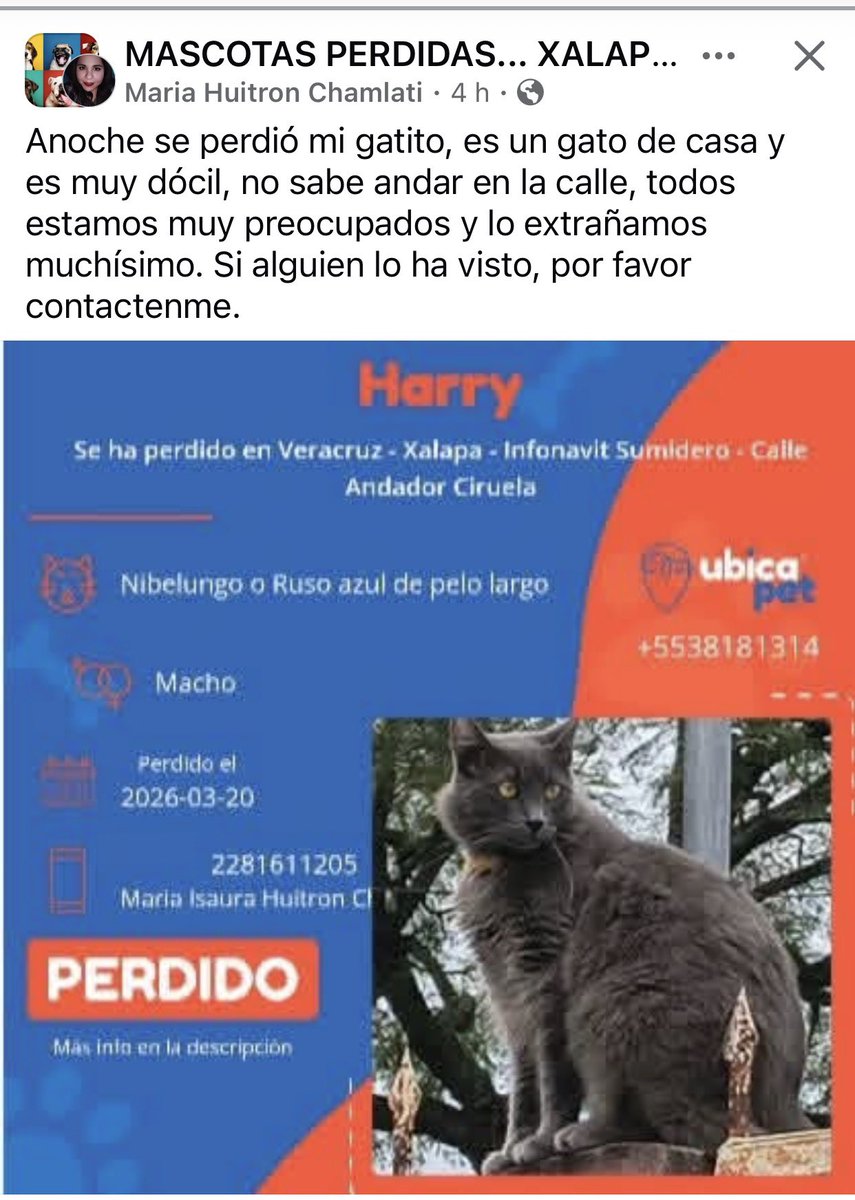 ANGIE COLUNGA tweet media