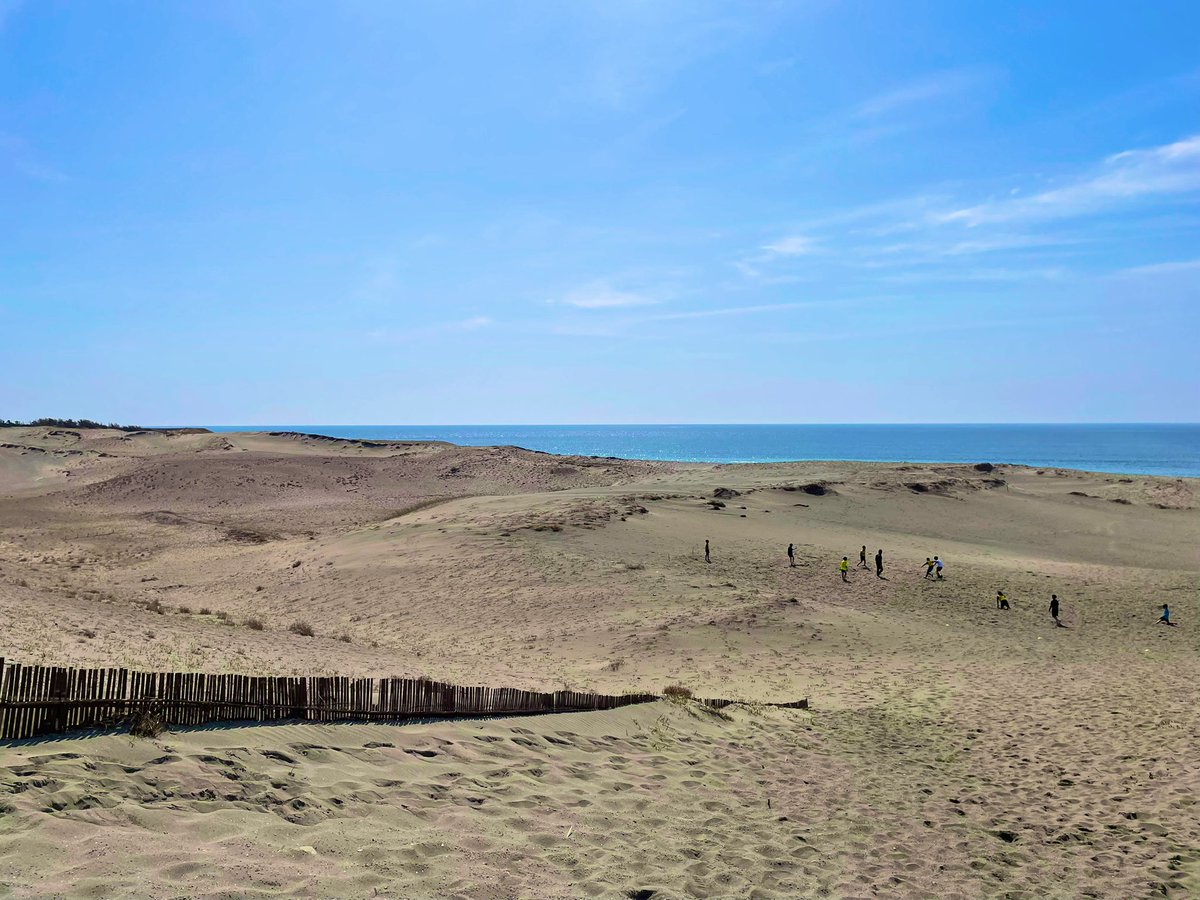 味噌煮込みコアラ tweet media