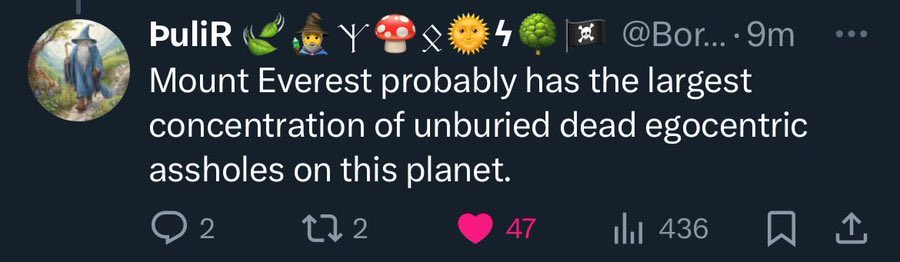 mhisa maya tweet media