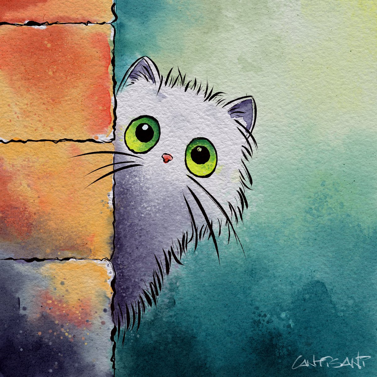 Cantisani tweet media