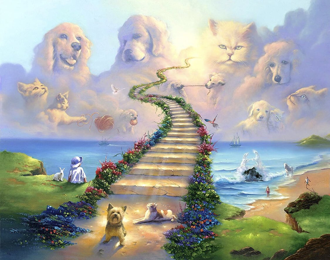 Hash Howard tweet media