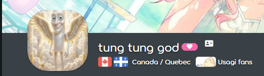 usagi fan tweet media