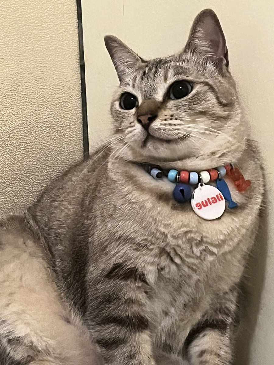 yongyong dkk 🧌 tweet media